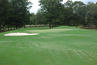 Black Bear Golf Club - Myrtle Beach golf club