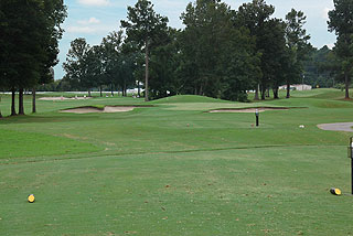 Black Bear Golf Club - Myrtle Beach golf club