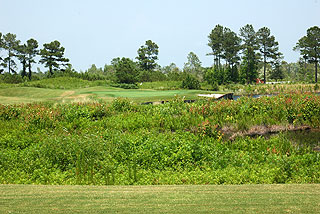 Carolina National Golf Club - Myrtle Beach Golf Course