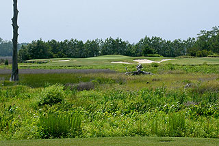 Carolina National Golf Club - Myrtle Beach Golf Course