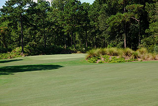 Heathland Golf Course at Legends Resort - Myrtle Beach Golf Course