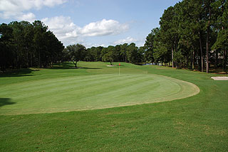 Lions Paw at Ocean Ridge Plantation - Myrtle Beach Golf Course