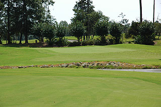 Panther's Run Golf Club at Ocean Ridge Plantation - Myrtle Beach Golf Course