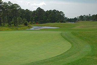 Tigers Eye Golf Links - Myrtle Beach Golf Course