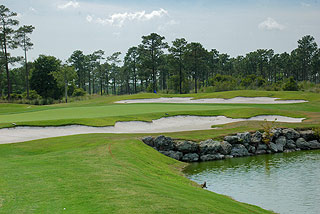 Tigers Eye Golf Links - Myrtle Beach Golf Course