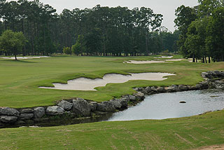 Tigers Eye Golf Links - Myrtle Beach Golf Course