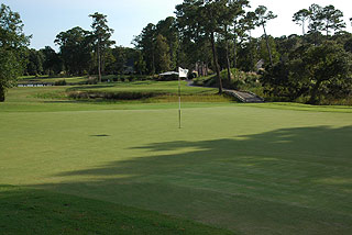 Oyster Bay Golf Links - Myrtle Beach Golf Course