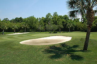 Possom Trot Golf Club - Myrtle Beach Golf