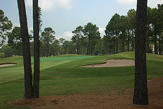 Sea Trail Golf Club - Byrd Course - Myrtle Beach Golf Course