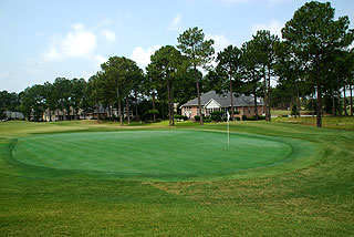 Sea Trail Golf Club - Byrd Course - Myrtle Beach Golf Course