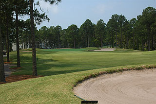 Sea Trail Golf Club - Byrd Course - Myrtle Beach Golf Course