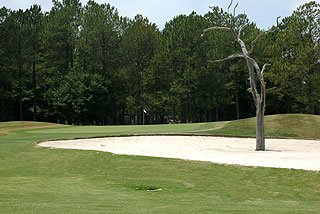 Sea Trail Golf Club - Maples Course - Myrtle Beach Golf Course