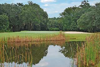 Wedgefield Plantation Golf Club | Myrtle Beach golf course